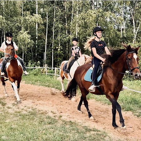 #1 Lakeview Paradise In Mazury, Pets Welcome Косево Екстер'єр фото